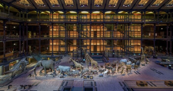 Visit of the Menagerie, the zoo of the Jardin des Plantes & and the Great Gallery of Evolution
