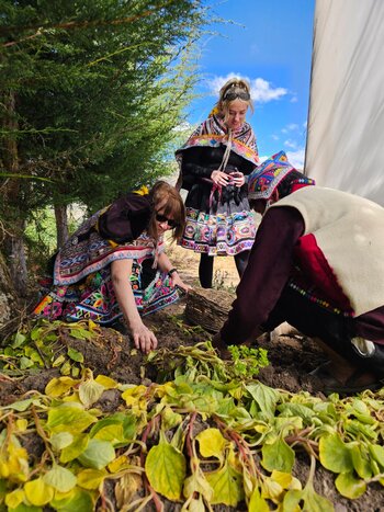 Discover Traditional Farming in the Andes: Amaru & Pisac arqueological site 
