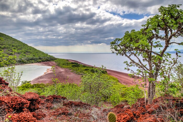 See the dramatic red rock shores and flora of Isla Rábida in the Galápagos