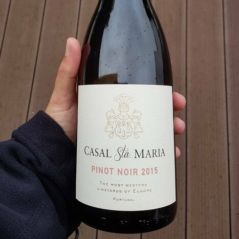 Casal Sta. Maria Winery Visit & Tasting | The Most Western Vineyards of Europe