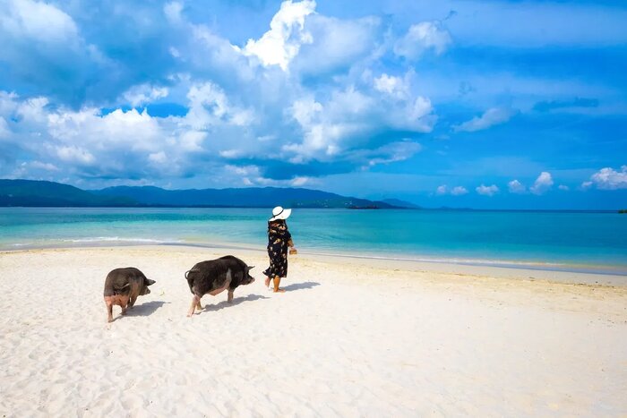 Half Day Snorkeling at Koh Tan & Koh MadSum by Private Long-Tail Boat