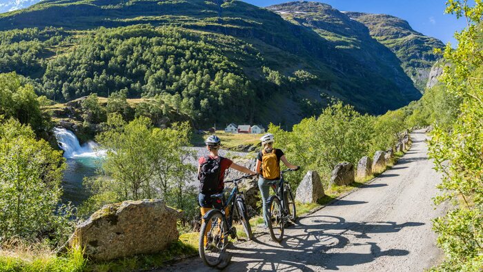 Flåm Railway & Cycling Adventure