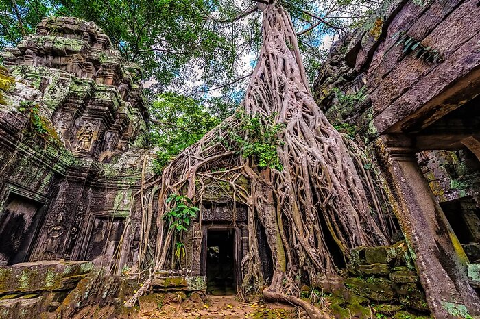 Full day Temples Sightseeing (Angkor Wat, Angkor Thom & Ta Prohm)