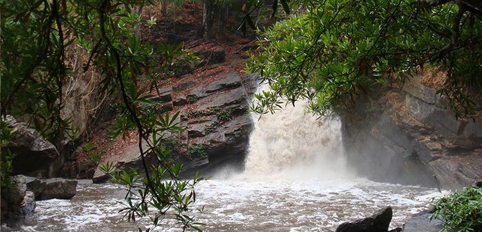 One Day Trek Sanpatong (Mae Win Area)