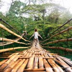 Cross the Loboc River via a bamboo bridge on the island of Bohol