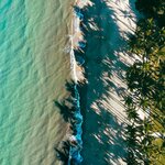 Take a walk along Cairn's esplanade follwing the coast  in Tropical North Queensland, Australia