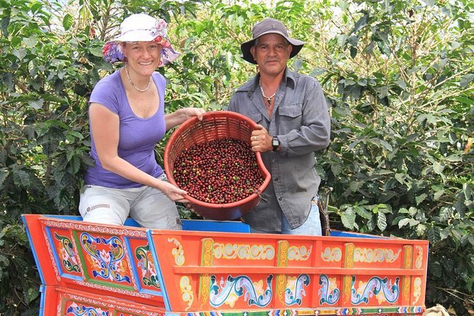 Travel to Arenal - Doka Coffee Tour 