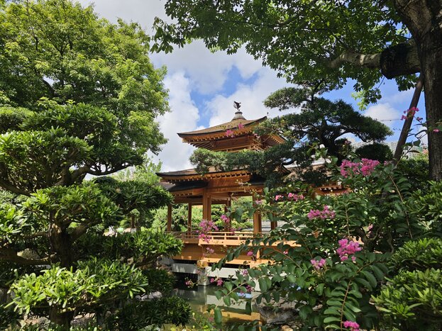 Cultural and Nature Explore of the Kowloon Peninsula and   Lai Chi Kok Park