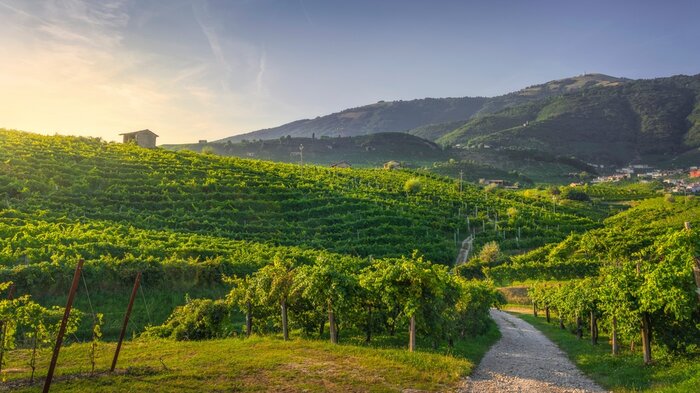 A Prosecco Excursion: Hilltowns, Heritage & Sparkling Wine