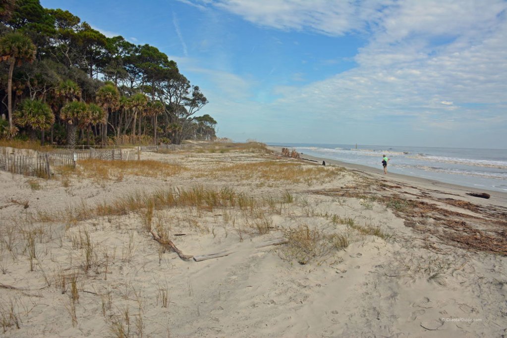 Hunting Island, courtesy of Beaufort-SC