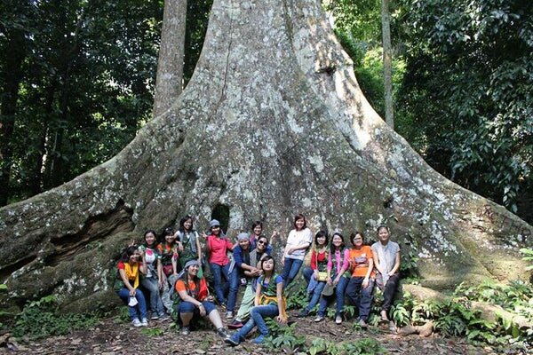Day Trip to Cuc Phuong National Park