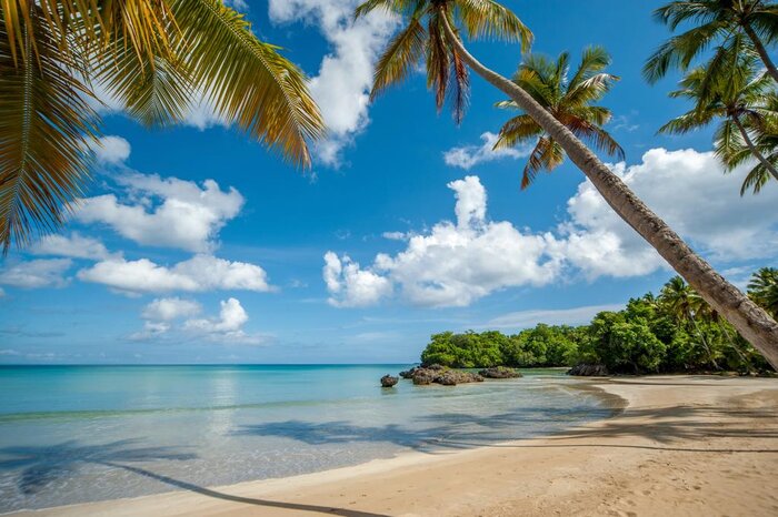 Samana's Coastal Paradise: 7 Beaches to Explore -group tour