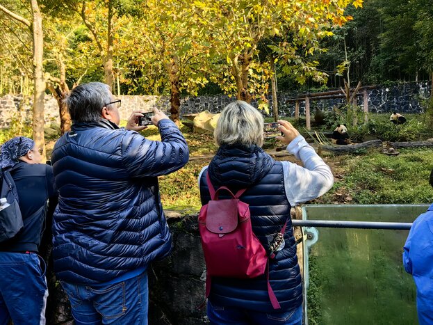 Wolong Gengda Panda Research Center + Dengsheng Gorge Hiking (3 hours)