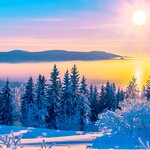 Indulge in the activities on offer in a Finnish winter vacation