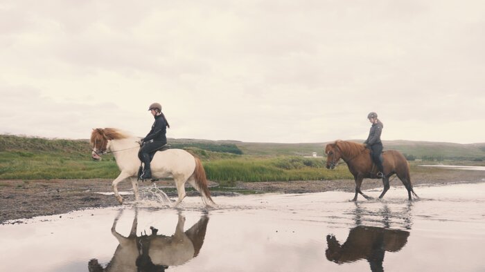 Sturlureykir Horses Riding Tour