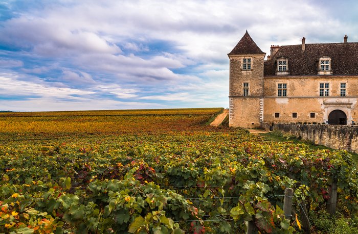 Full day in Côte de Beaune and Côte de Nuits