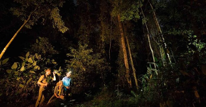 Adventure Day at Yasuní National Park and mystical Night walk (Napo Cultural Center)
