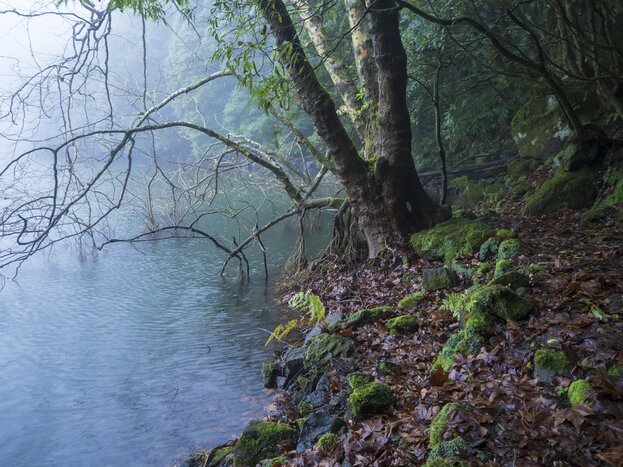 A wintry scene along Lagoa do Congro's volcanic lake, São Miguel Island
