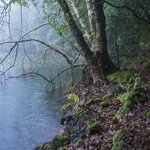 A wintry scene along Lagoa do Congro's volcanic lake, São Miguel Island
