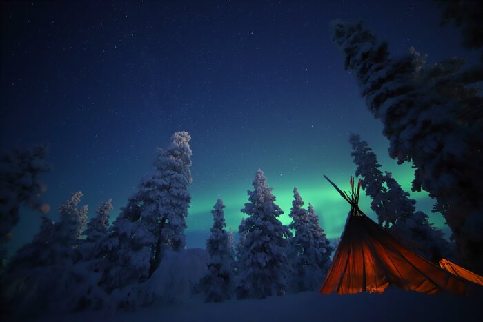Evening Snowshoeing Adventure 