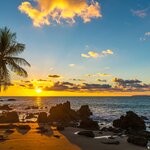 Experience unforgettable memories at Corcovado National Park