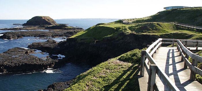 Phillip Island and Moonlit Sanctuary Tour + Penguins Plus Viewing