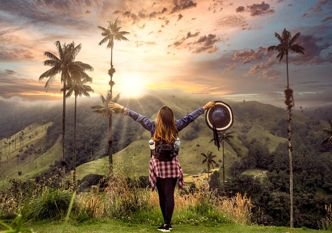 Spend four nights in Pereira, with easy access to lush, green mountains and wax palms