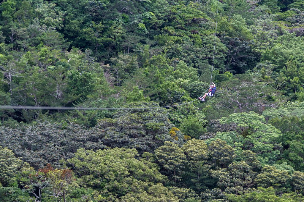 Zip-lining through the jungle canopy