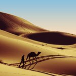 Experience Morocco's mountains, dunes, and beaches on this guided tour