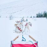 Spend your days snowshoeing and dogsledding and your evenings chasing the northern lights 