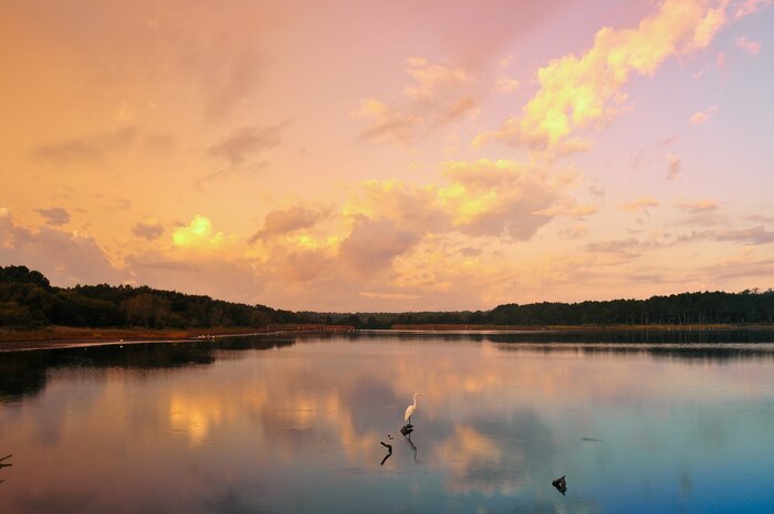 EcoLogic 3/3: Flight to {{end_location}}