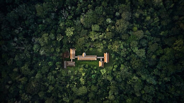 On an outdoor adventure in an Amazon reserve, enjoy three nights at the luxury Tambopata Research Center