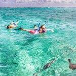 Snorkel around part of the second-largest barrier reef on Earth from your base on Caye Caulker