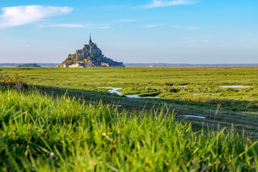 Mont Saint Michel in France surrounded by green tidal fields and water channels, landscape showing wide open space, landscape calm and natural, landscape under soft spring sunlight and clear sky