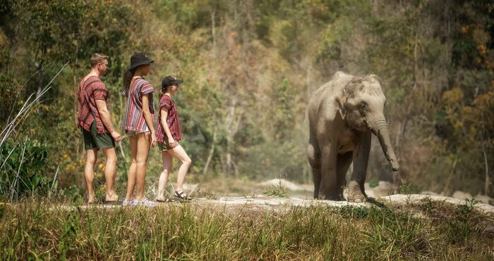 Half Day Experience at Elephant Jungle Sanctuary