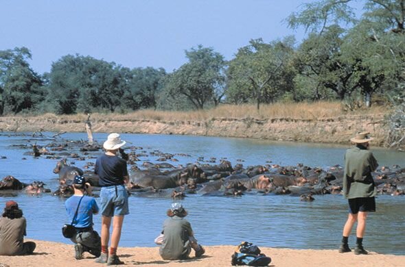 Guided Walks in South Luangwa National Park