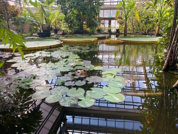 Leiden - Hortus Botanicus 