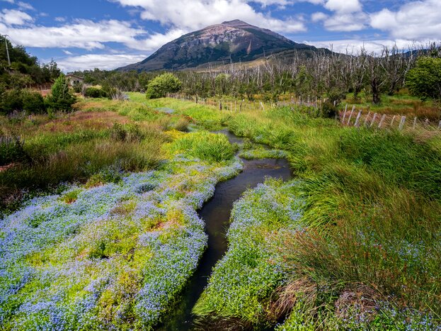 Rural area with trees, stream of water and mountain in Coyhaique, Chili