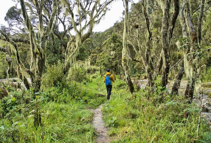 Set off on a three-day hike through Mount Elgon National Park