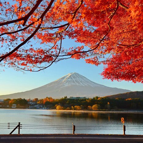Private transfer from Tokyo to Hakone via Mt. Fuji