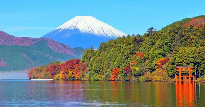 Scenic Hakone Adventures and Transfer to Kyoto