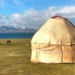 Live like Mongolian nomads at a ger camp