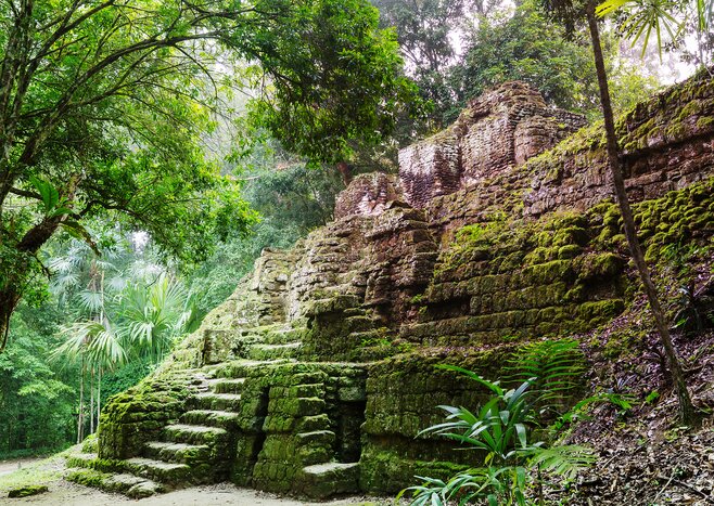 Explore Guatemala's UNESCO-listed Tikal National Park during the day (and at sunrise)