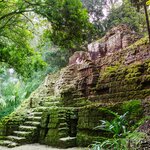 Explore Guatemala's UNESCO-listed Tikal National Park during the day (and at sunrise)