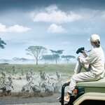Go on safari in Tanzania's famous Serengeti National Park