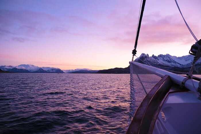 Polar Fjord Cruise With a Yacht