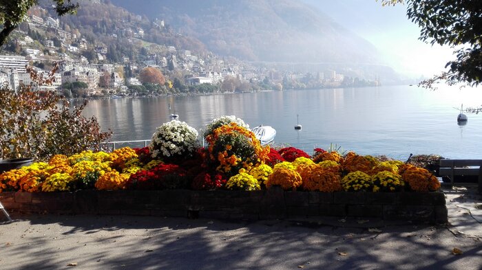 Explore Montreux on your own