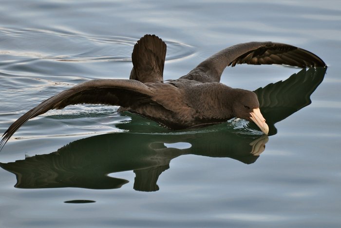 Explore Ushuaia National Park 