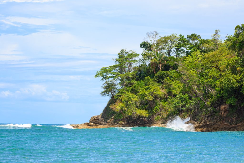 Central Pacific Coastline