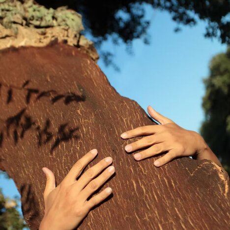 Morning Cork Farm Tour + Lunch